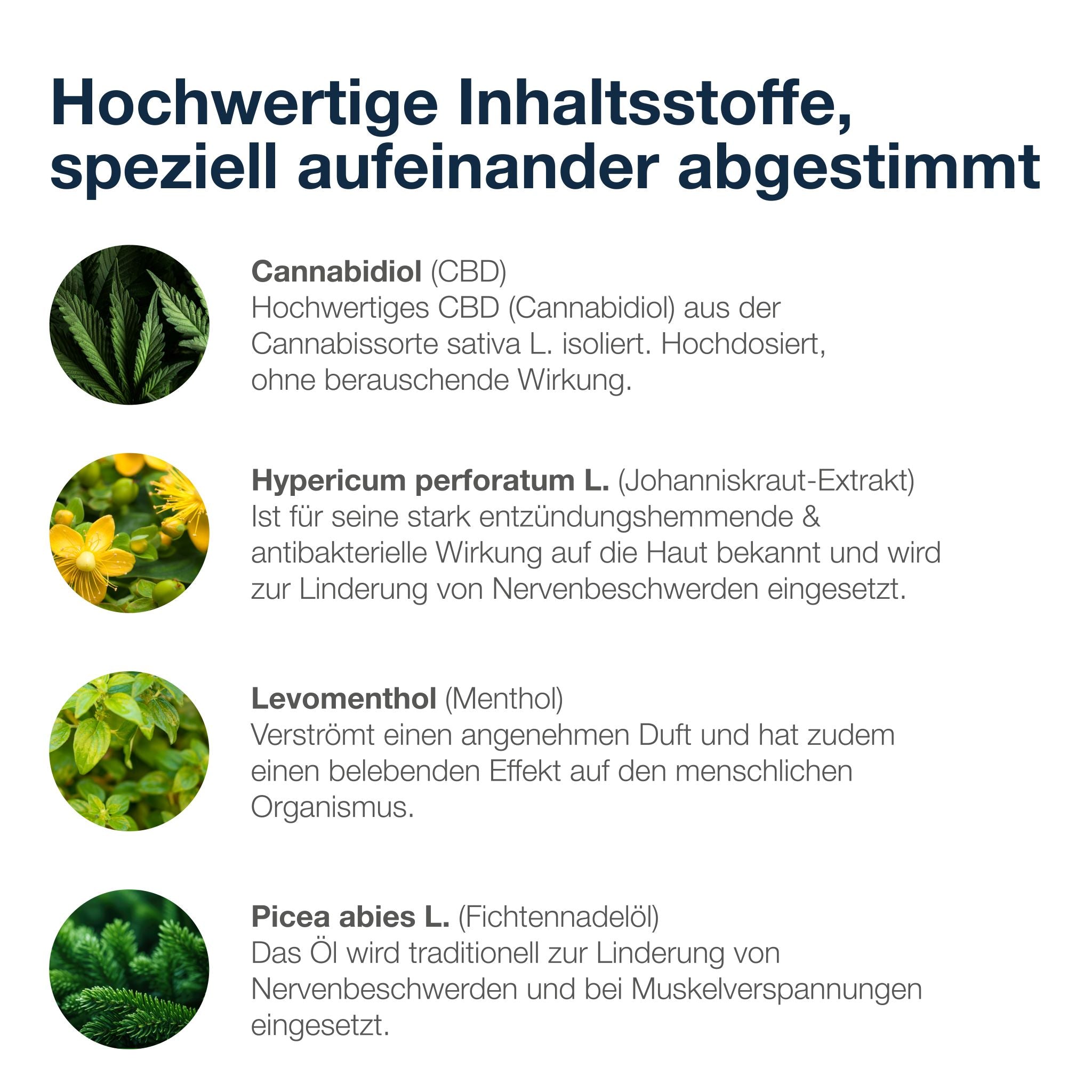 Übersicht der 4 Wirkstoffe: Cannabidiol aus Cannabis sativa, Johanniskraut-Extrakt (entzündungshemmend), Menthol (belebend), Fichtennadelöl (bei Verspannungen). Begleitende Pflanzenbilder links.