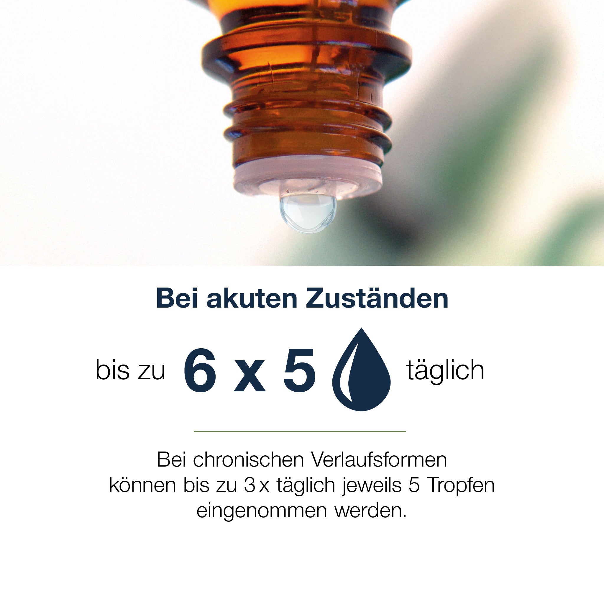 Restaxil Tropfen
